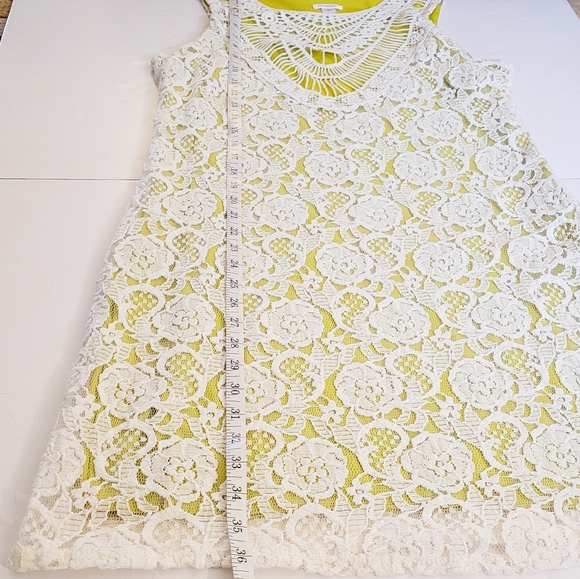 Lace dress - Picture 3 of 11